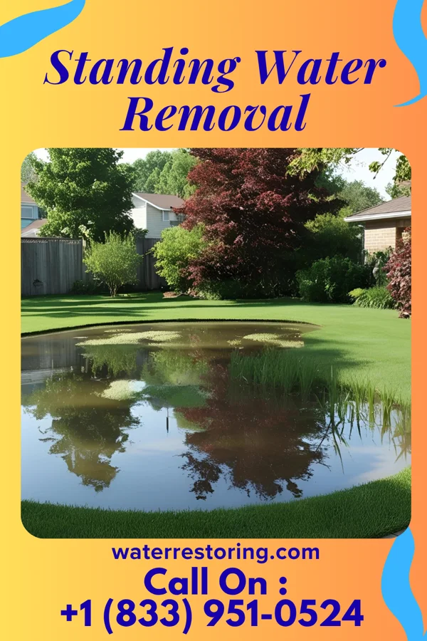 Standing Water Removal in Oakland Acres, IA